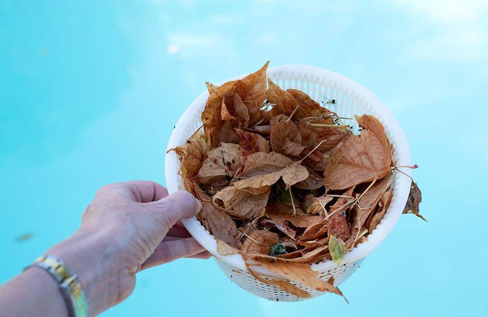 Above Ground Pool Filter Basket