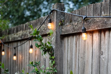 Outdoor string lights at Watson's 