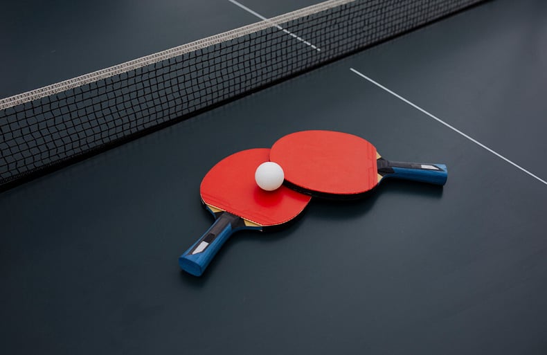 Grey Ping Pong Table