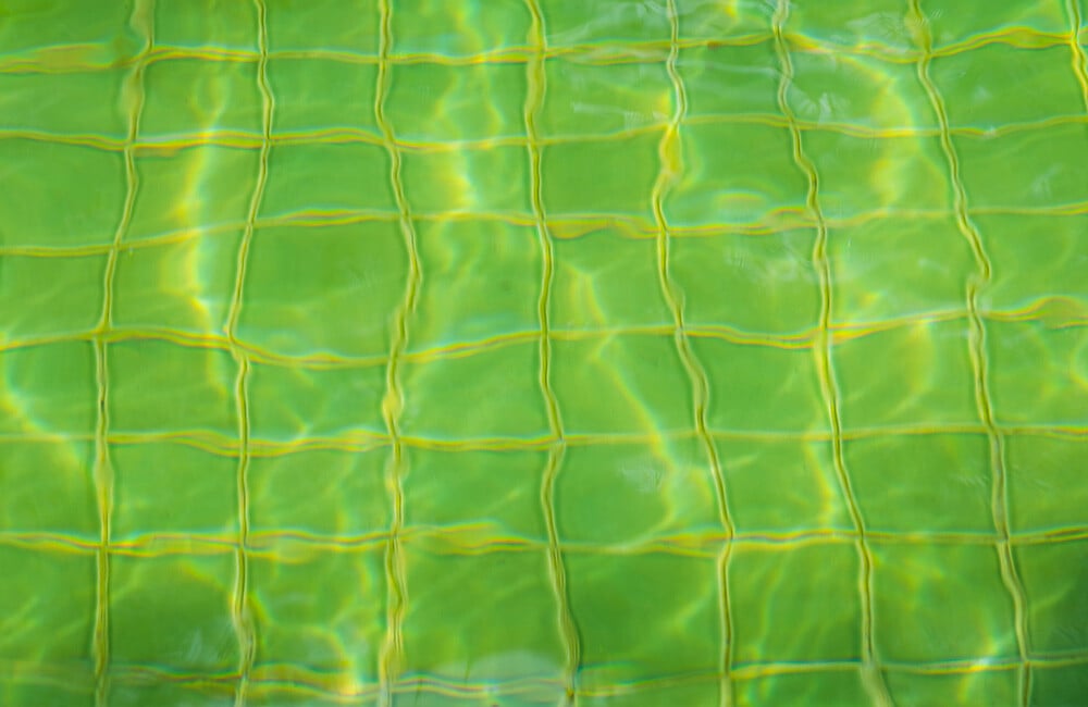 Green Algae Pool Water