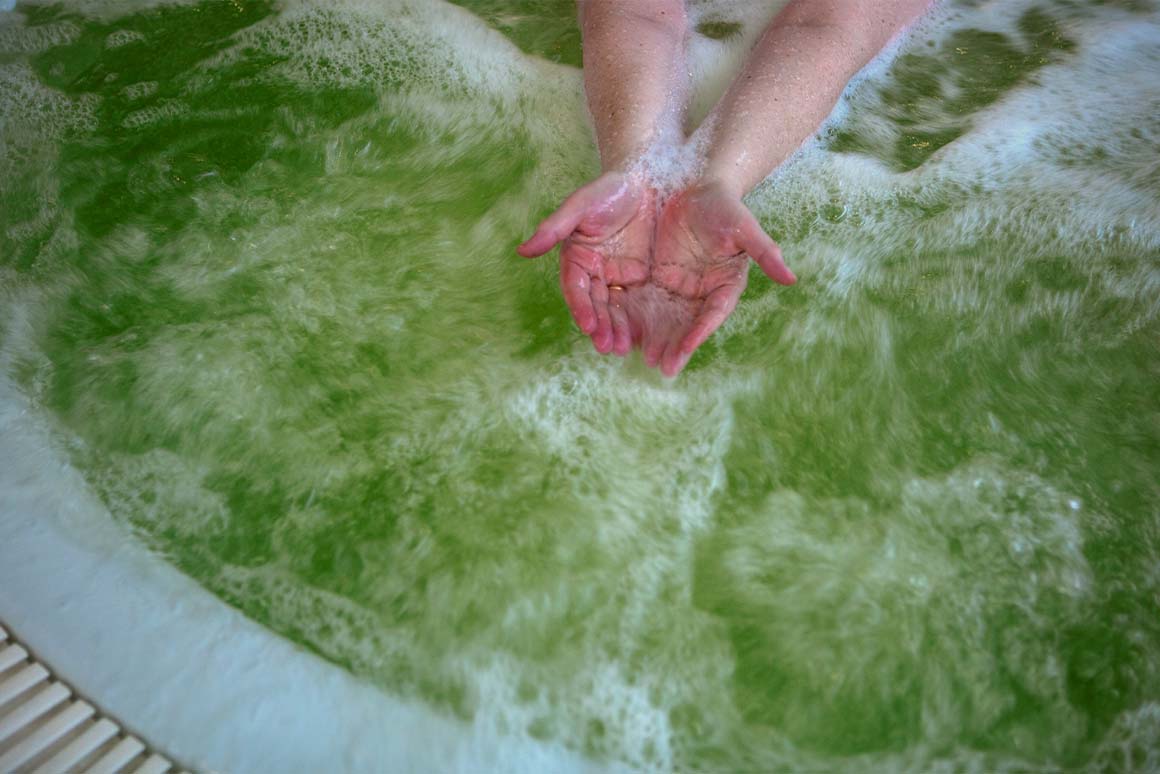 Green Hot Tub Water With Algae